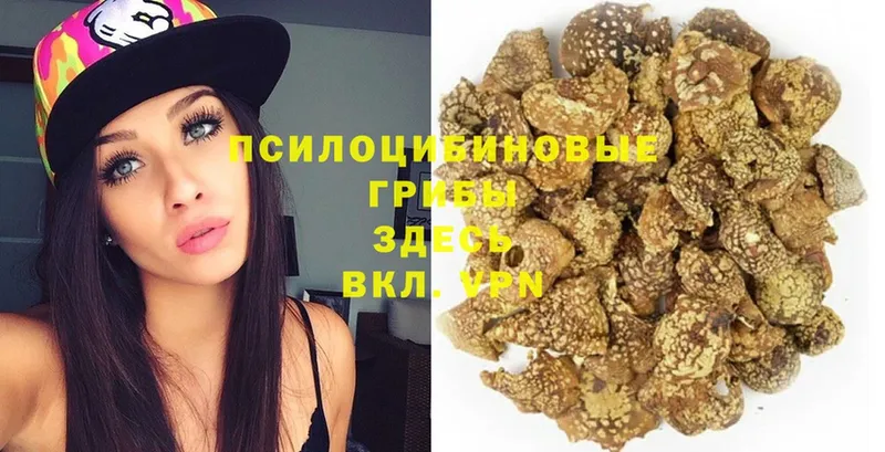 где продают наркотики  Орлов  Псилоцибиновые грибы MAGIC MUSHROOMS 